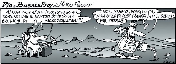 vignetta 143