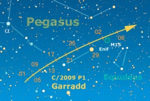 pegaso