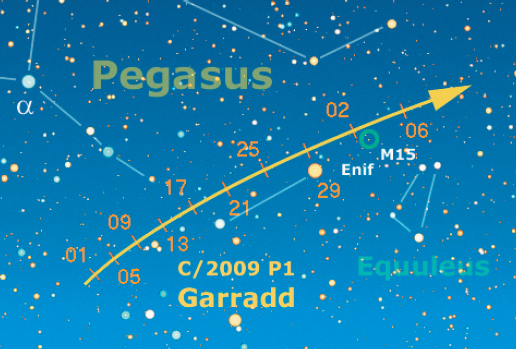 pegaso