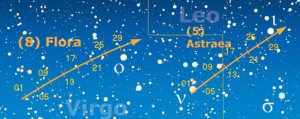 Astraea Astraea