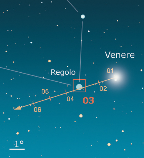 Regolo Venere