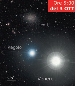 Regolo Venere