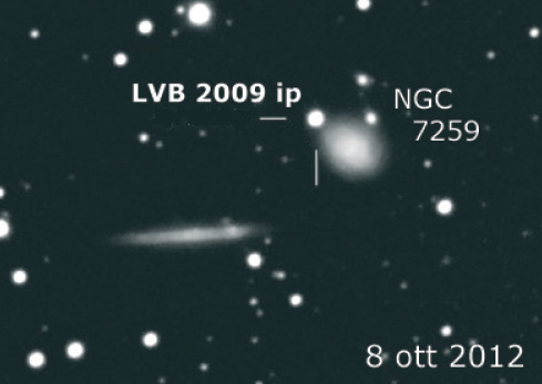 supernovae supernovae