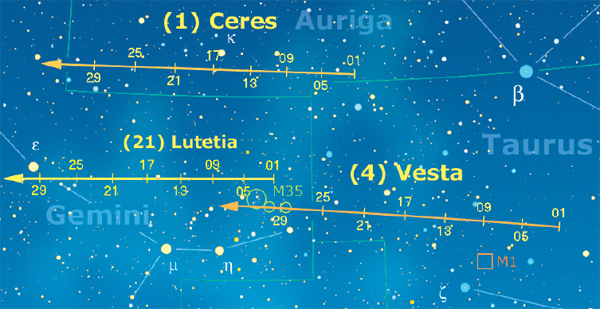 asteroridi