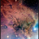 The Fox Fur Nebula