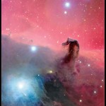 The Horsehead Nebula