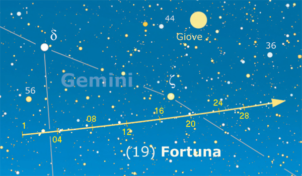 Asteroidi