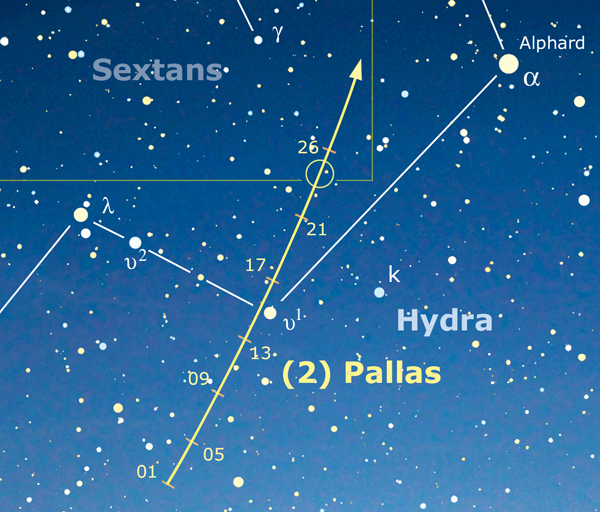 Pallas