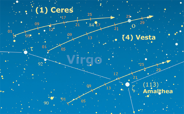 Asteroidi