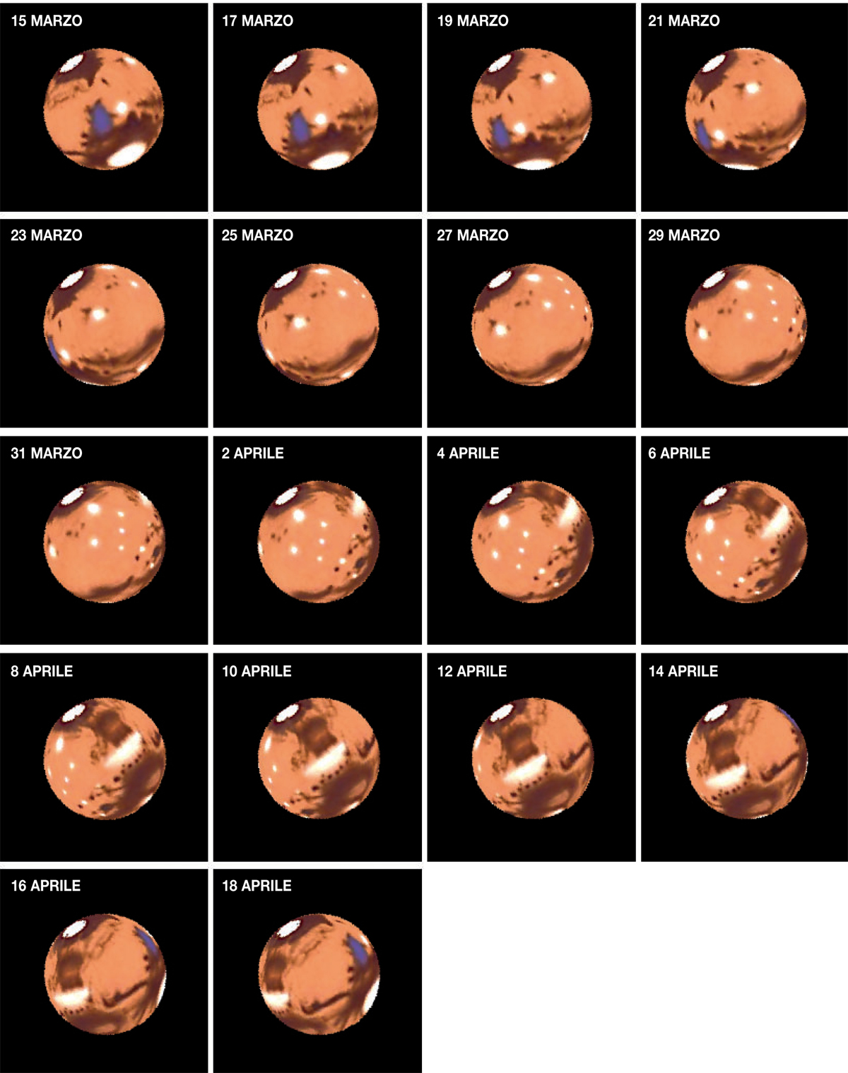 Coelum 179 pa