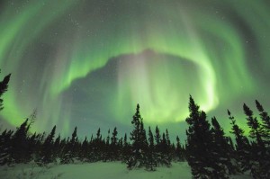 aurora