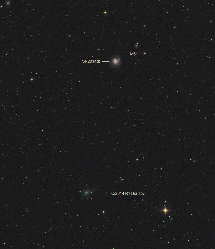 2) C2014R1-SN-M61