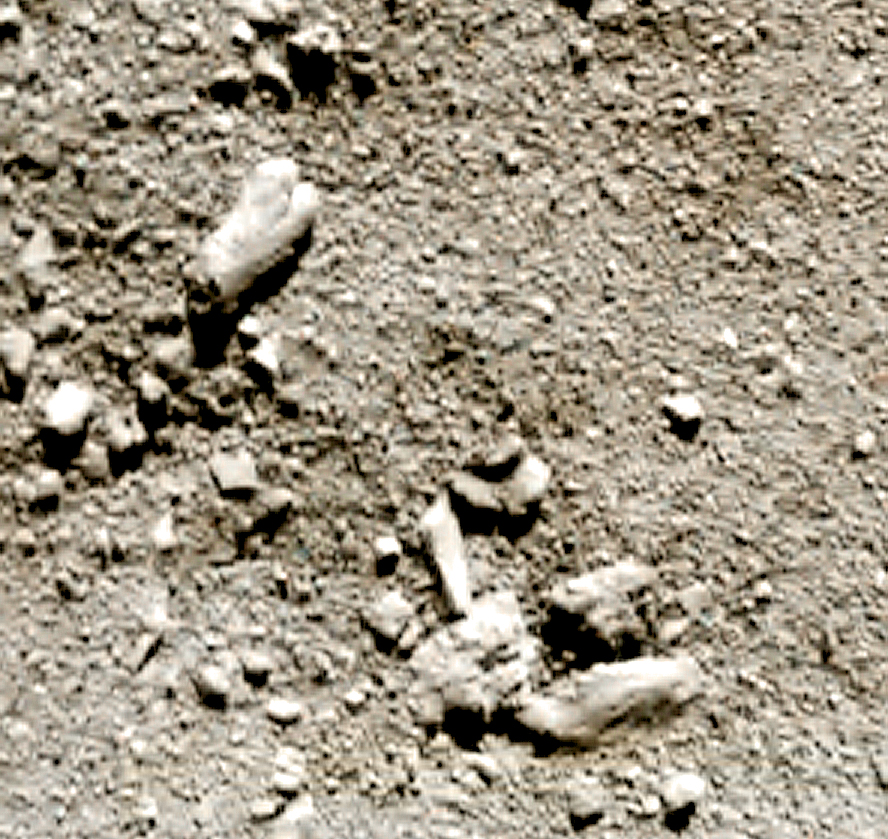 philae colori