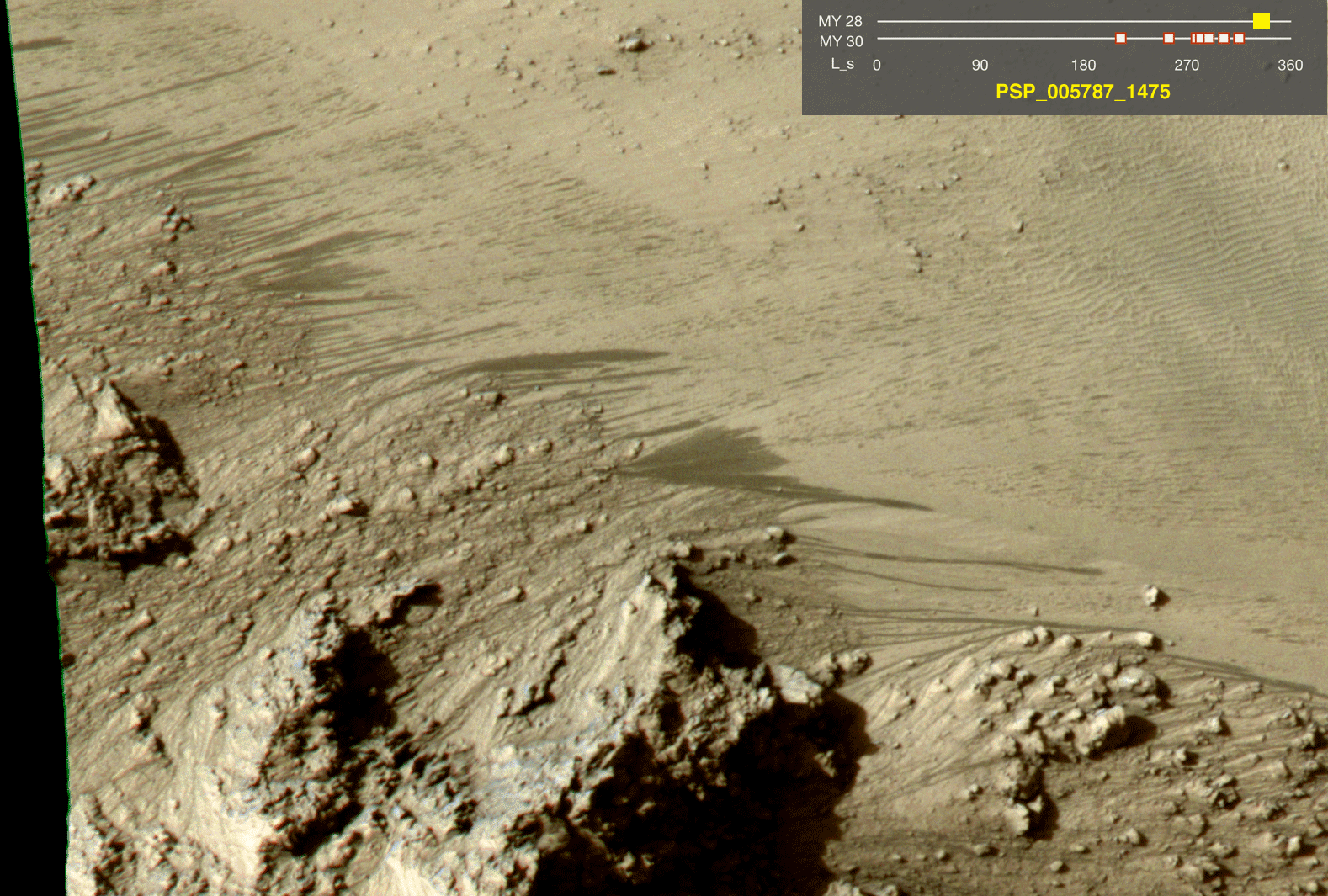 Horowitz_IRB_A.ORTHO-cropA_leg