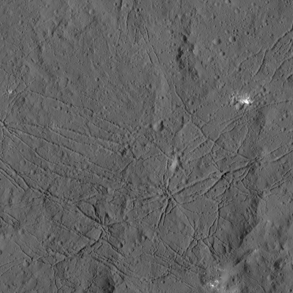 pia20193