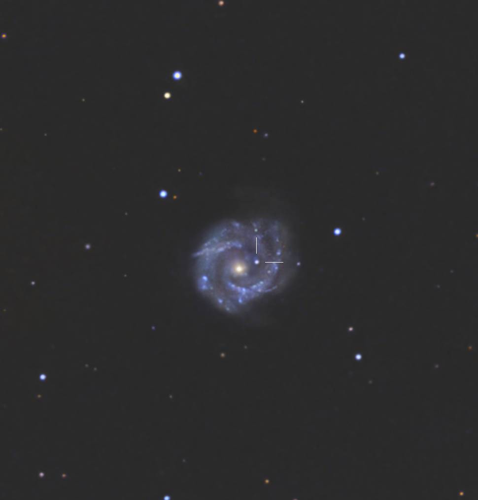 1) SN2016bau_ngc3631