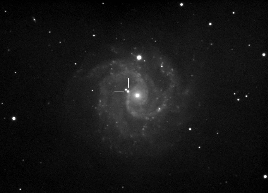 2) SN2016bkv_ngc3184