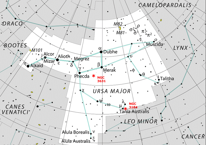 ursa