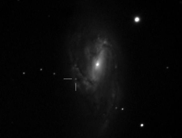 3) M66_SN2016cok Greg Bock Meade 14F7