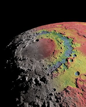 luna-anelli-300x375