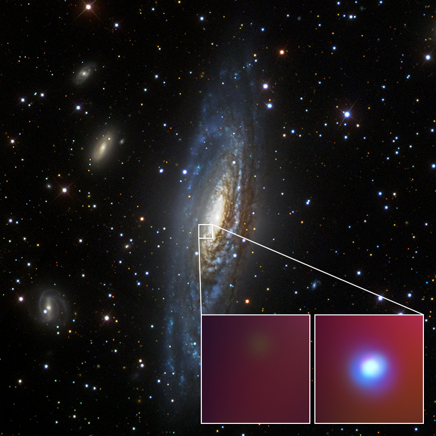 pia21088