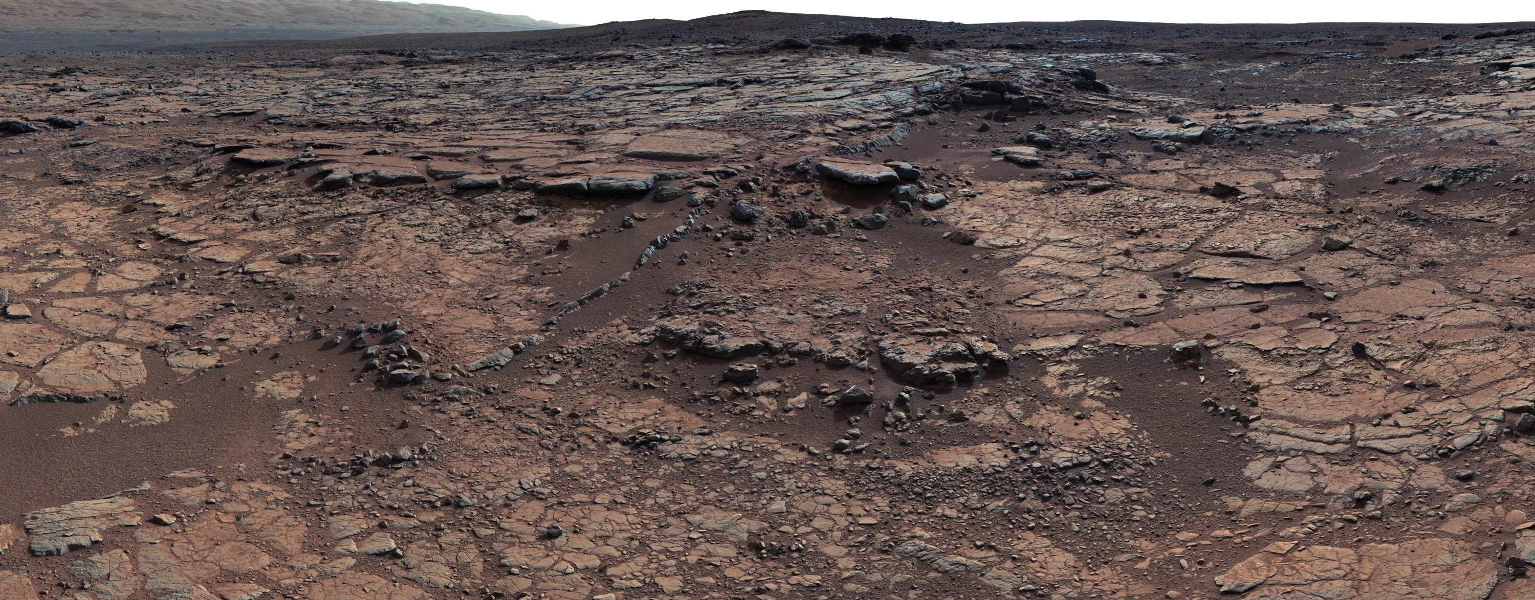 pia17595