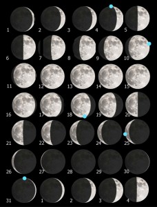 Tavola Luna marzo 209