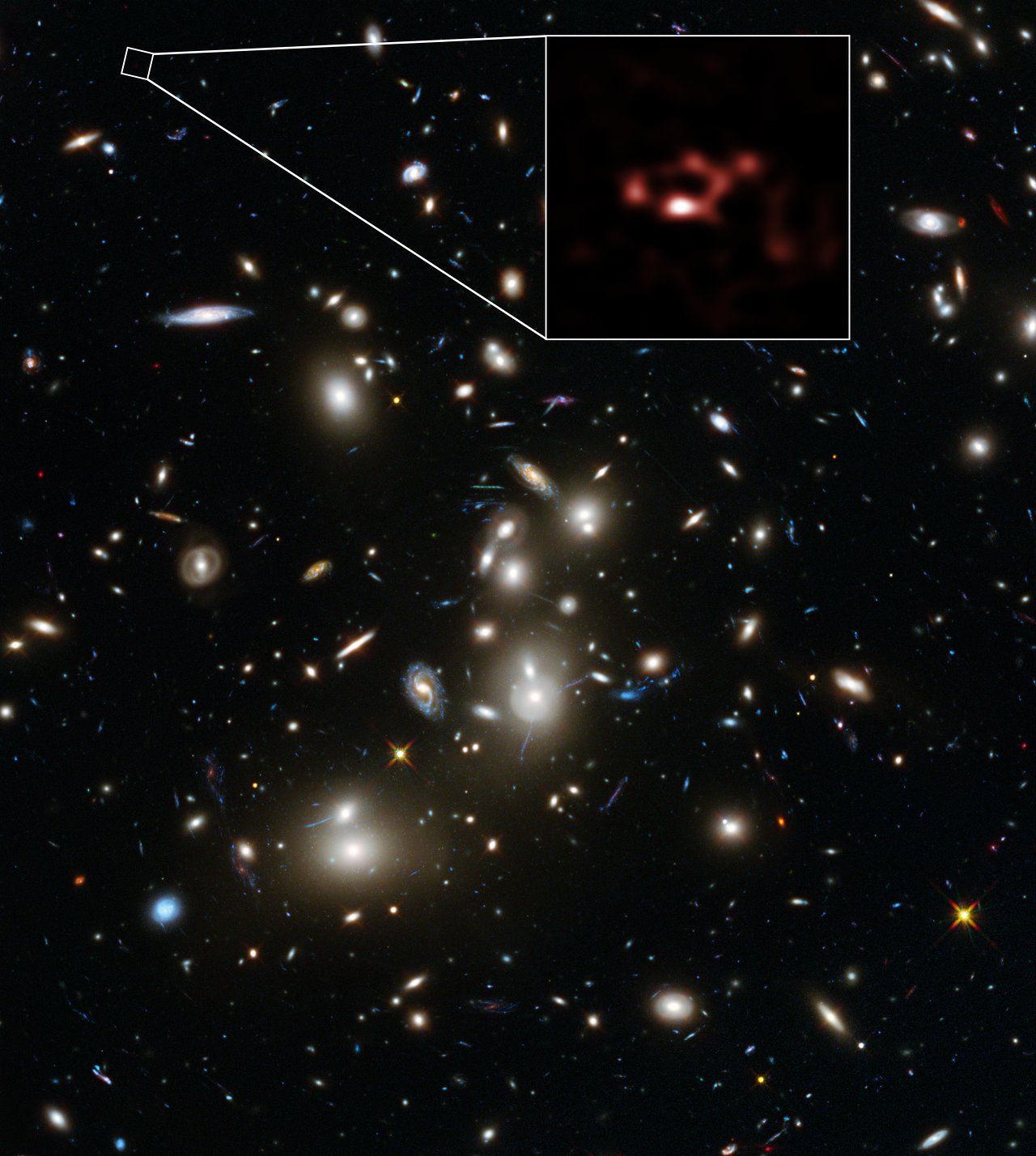 ALMA and Hubble Space Telescope views of the distant dusty galax