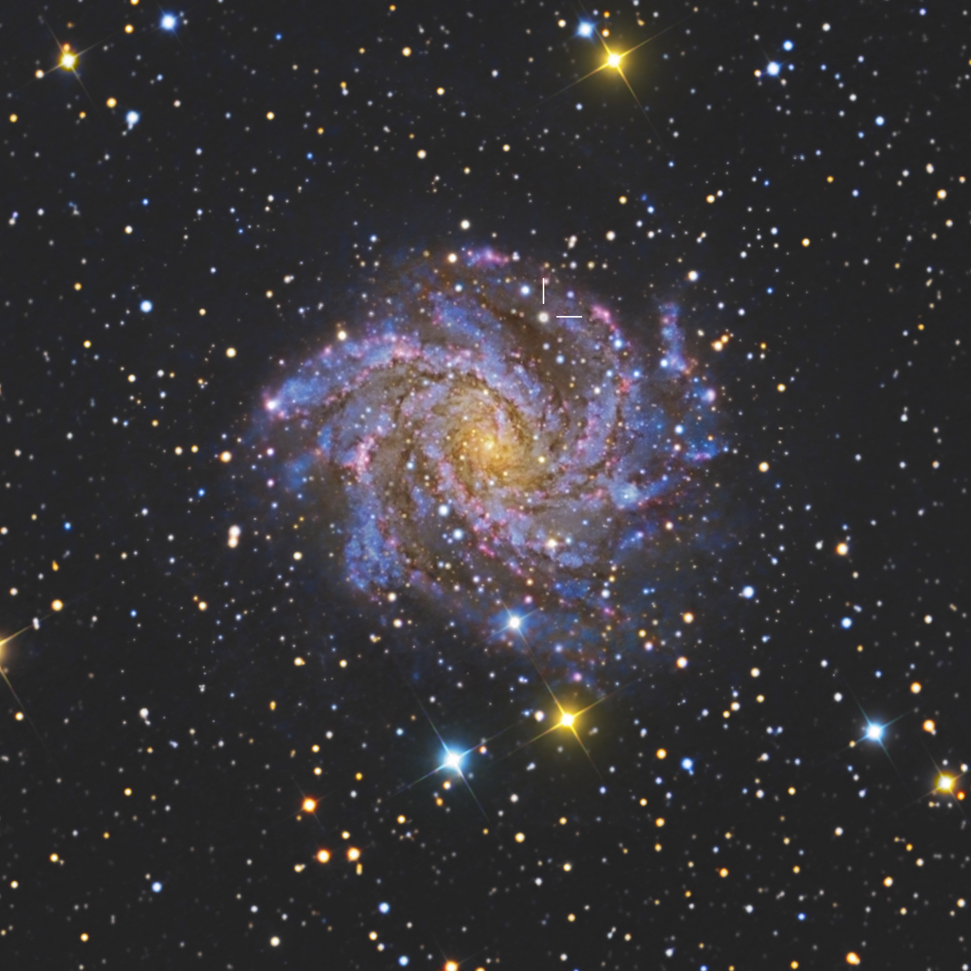 Copia di 3) SN2017eaw_ngc6946_Burali