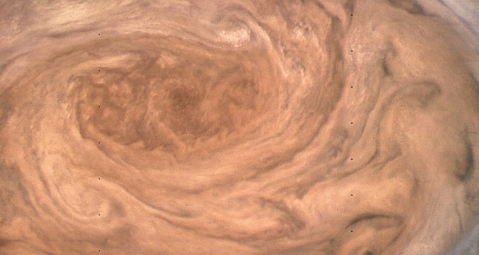 thumb Gill