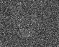 3200-Phaethon-2007-Arecibo-Cornell