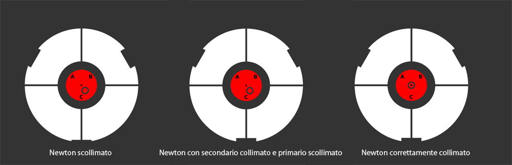 Reego Newton