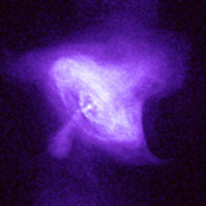 0052_xray_420