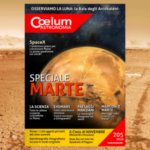 Coelum 205 800x800