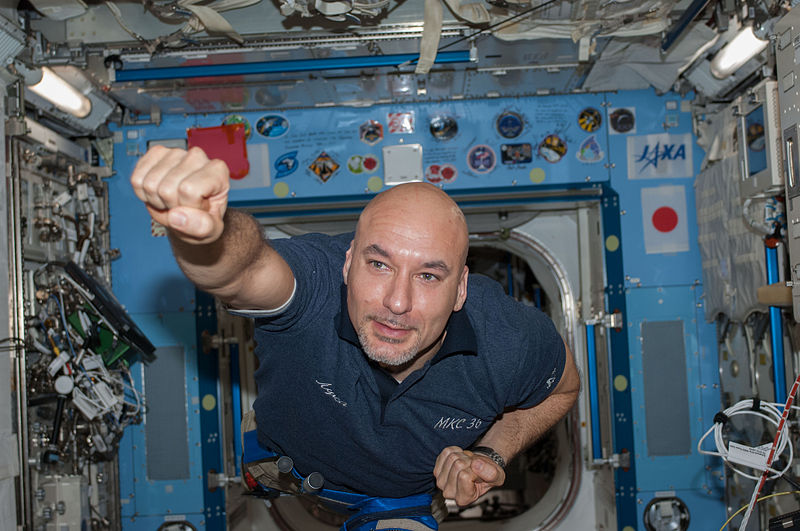 800px-ISS-36_Luca_Parmitano_in_the_Kibo_lab