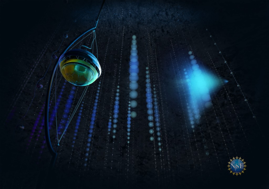 Neutrino