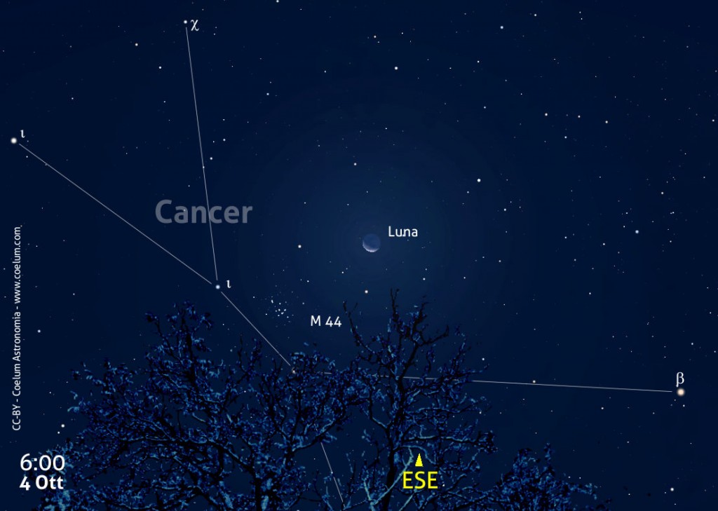 4ott-luna-m44
