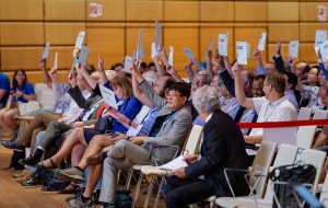 Vote among National Members at 2018 GA