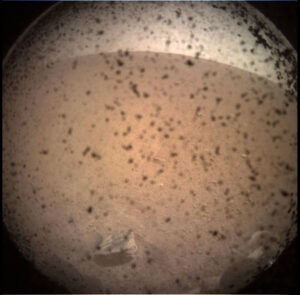 insight_first_image