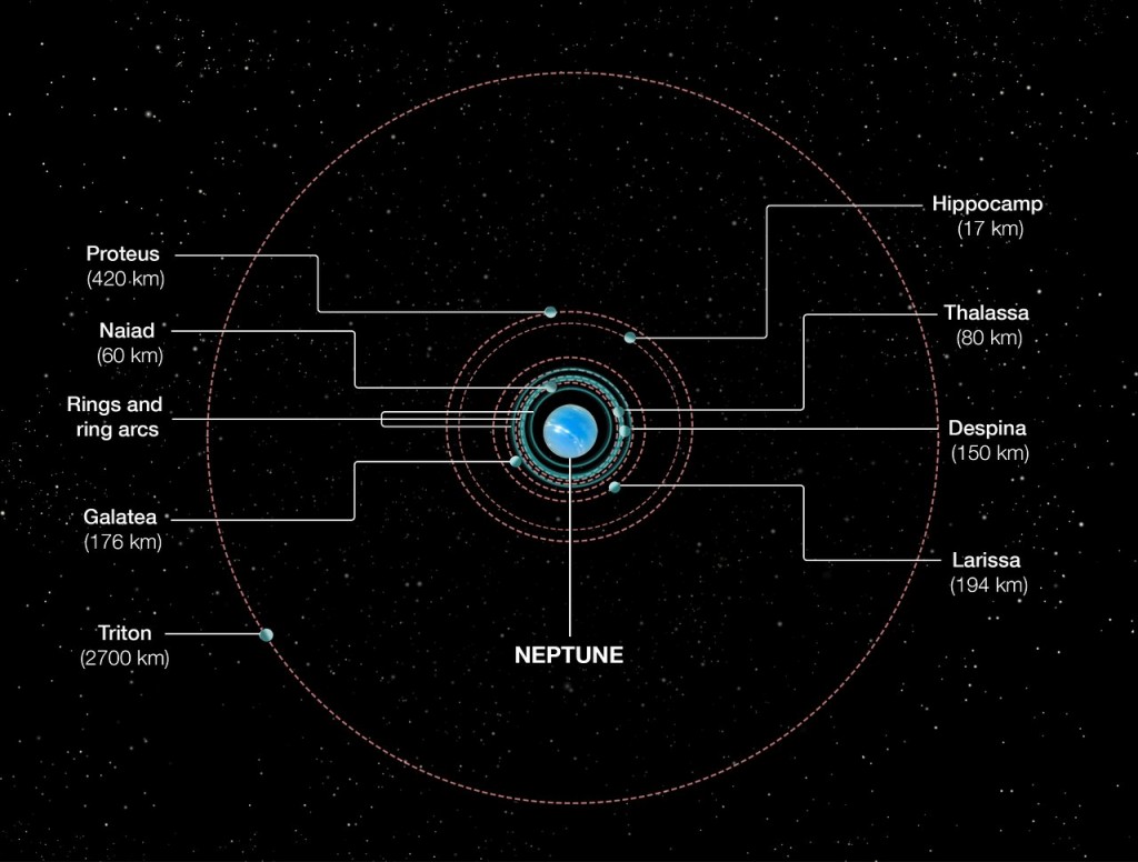 Orbits of Neptuneâs inner moons