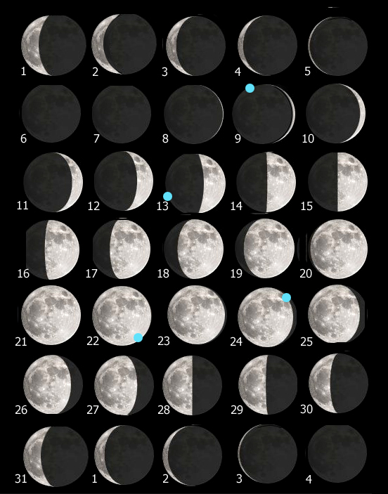 Tavola Luna 231 mar