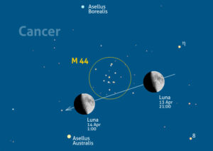 luna-m44