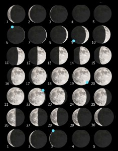 Tavola luna 232 apr