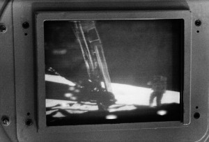 Apollo11Honeysuckle