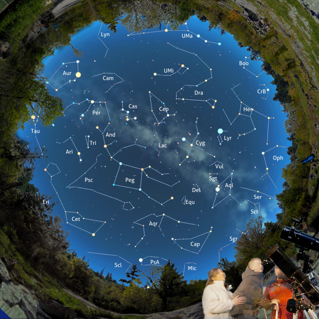 stardome-ott-2019