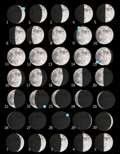 Tavola luna 238 novembre