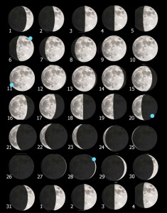 Tavola luna 239 dicembre