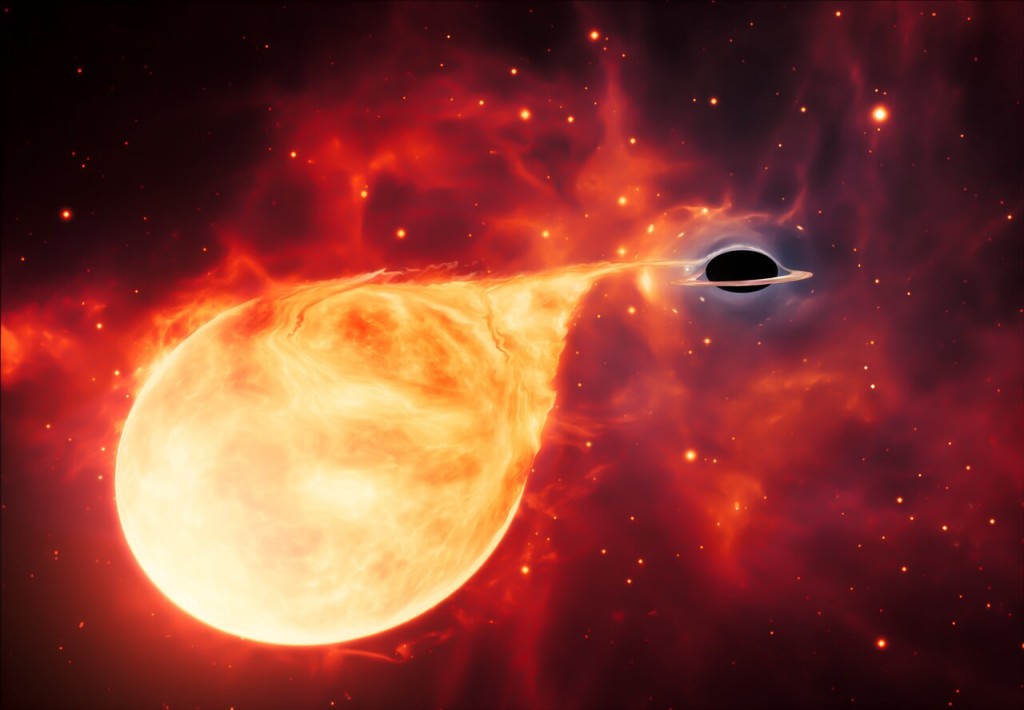 Intermediate-Mass Black Hole with Torn-Apart Star (Artistâs Im