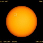 sole-mauro