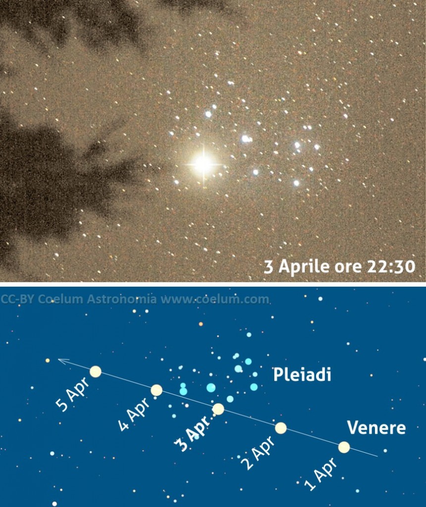 venere-path-apr2020-details (1)